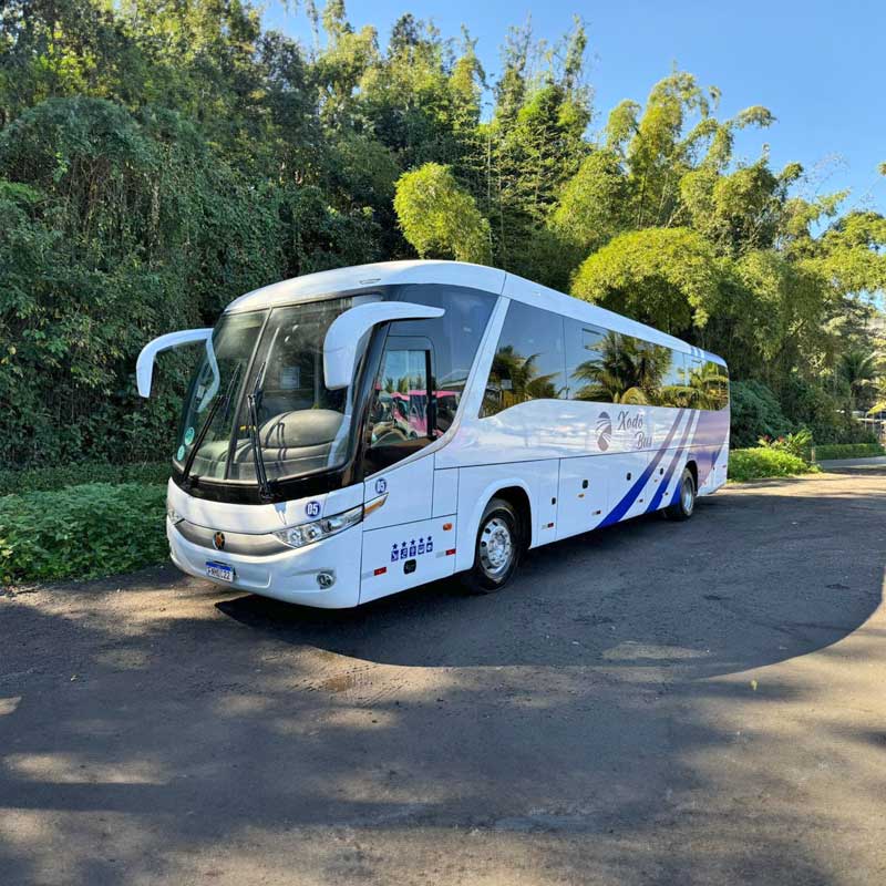 Transporte de Ônibus ou Micro-ônibus Ida e Volta