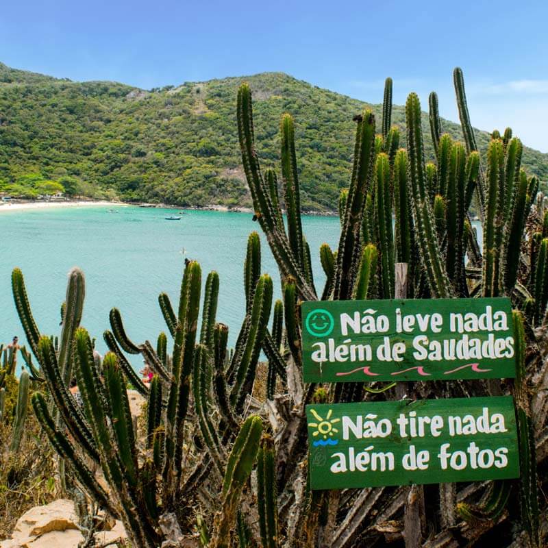 Conheça Arraial do Cabo em nosso Passeio de Barrco: Um ecossistema sensível que precisa ser preservado