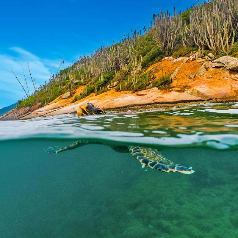 Conheça Arraial do Cabo em nosso Passeio de Barrco: Um ecossistema sensível que precisa ser preservado