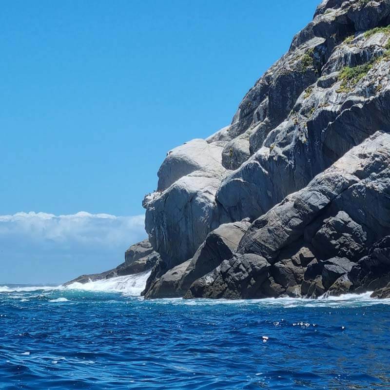 Conheça a Pedra do perfil do Macaco/Gorila em nosso Passeio de Barco em Arraial do Cabo