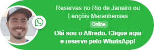 Agende seu passeio em meio à Mata Atlântica com vista panorâmica do Rio.