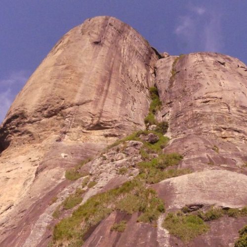 Trilha da Pedra da Gávea - Carrasqueira