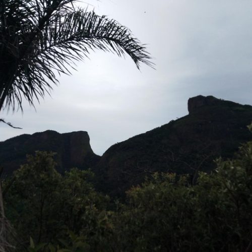 Trilha da Pedra da Gávea - Morro Focinho do Cavalo